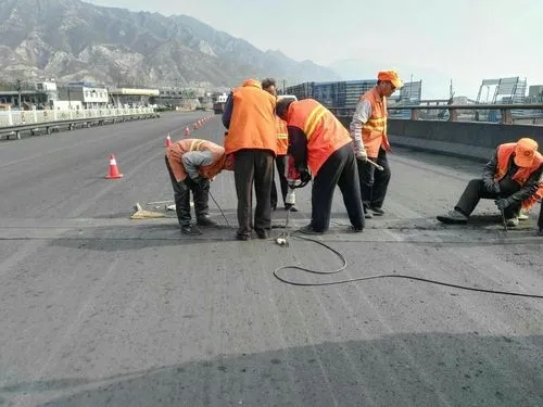 靖宇道路桥梁病害治理